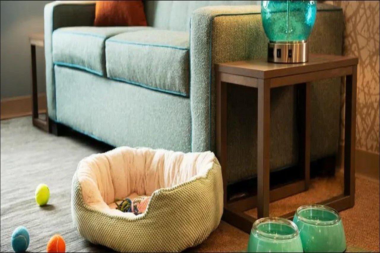 Home2 Suites Corpus Christi Southeast, Tx Bagian luar foto